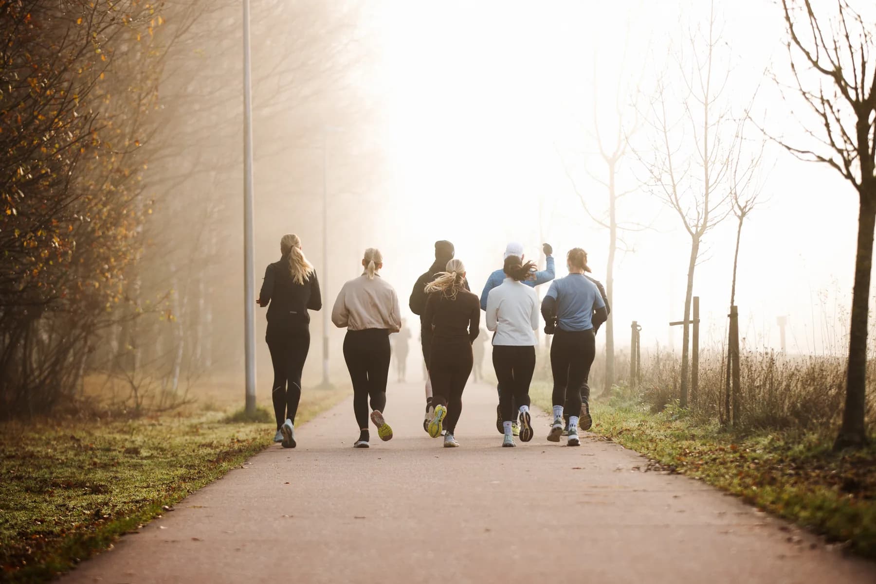 Silhouetten van lopers in de ochtendmist